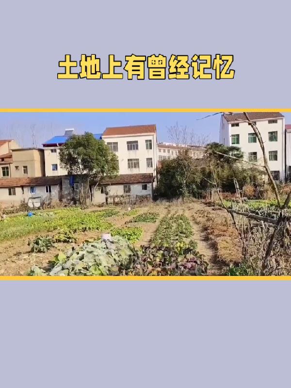 土地上面有什么 土地上面有什么