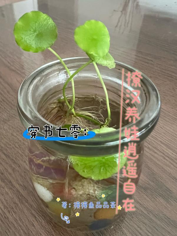 穿书七零撩汉养娃逍遥自在沈清清 穿书七零撩汉养娃逍遥自在沈清清