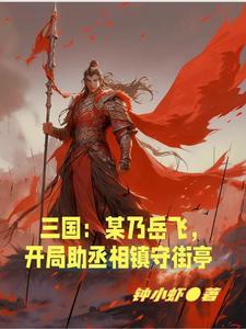 三国某乃岳飞