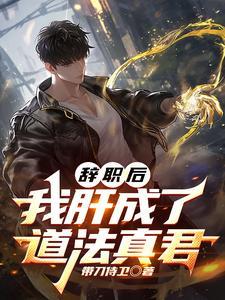 辞职后我变成了万人迷 辞职后我变成了万人迷