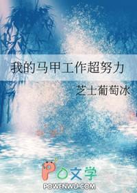 我的马甲哪里不对?