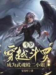 穿越斗罗之成为武魂的 穿越斗罗之成为武魂的