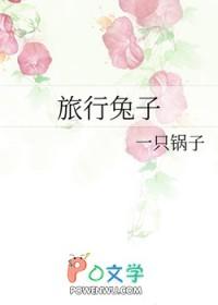 综 旅行者 综 旅行者