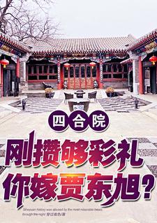 四合院无悔青春 四合院无悔青春