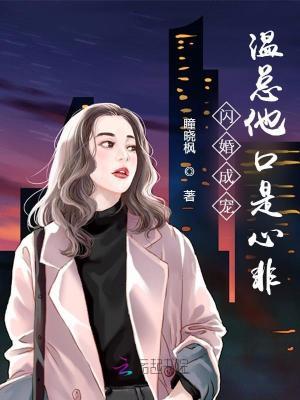 闪婚甜宠总裁请温柔 闪婚甜宠总裁请温柔