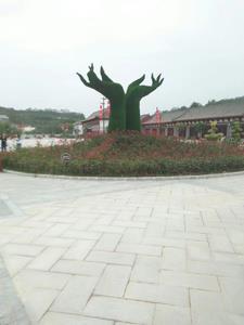 中年 知乎 中年 知乎