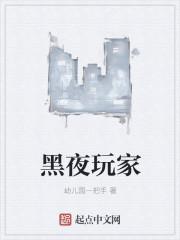 黑夜玩家扫书 黑夜玩家扫书