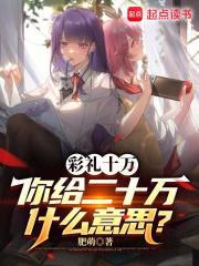 你给二十万什么意思?顶点 你给二十万什么意思?顶点