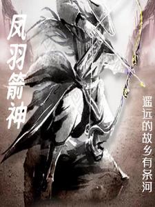凤羽武装 凤羽武装