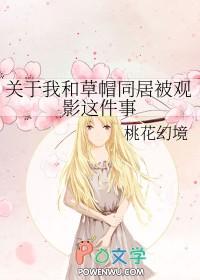海贼王之草帽一伙 海贼王之草帽一伙