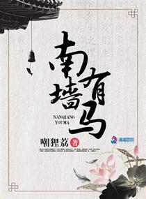 南墙挂马 南墙挂马
