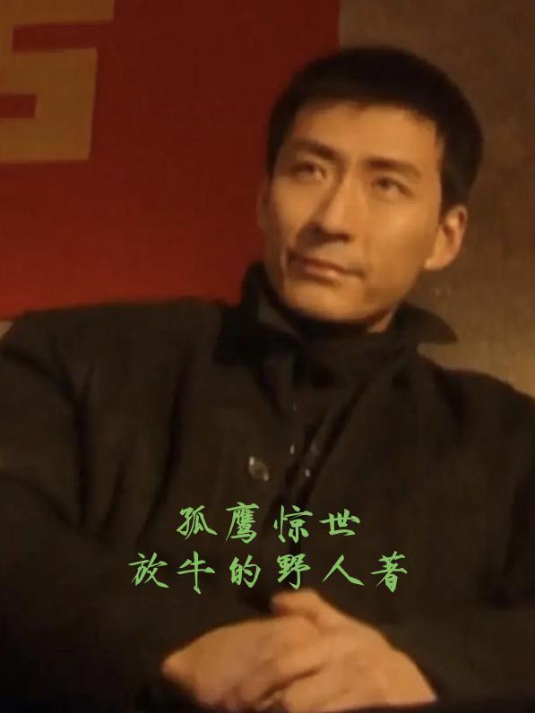 孤鹰改编电视 孤鹰改编电视