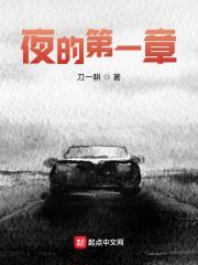 夜的第一章讲的什么 夜的第一章讲的什么