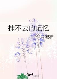 抹不去的回忆原唱 抹不去的回忆原唱