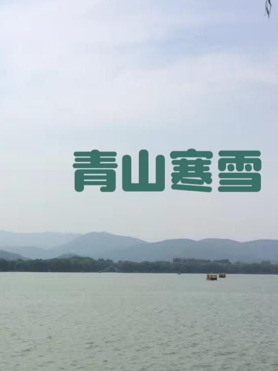 青山有雪存松性的意思