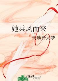 你乘风而来歌词 你乘风而来歌词