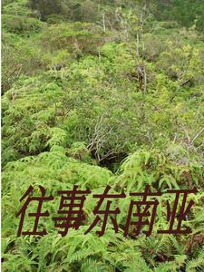 缅北人员宣传