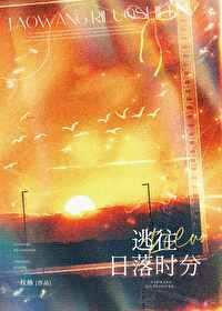 逃向日落什么意思