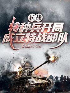 抗战特种兵系统 抗战特种兵系统