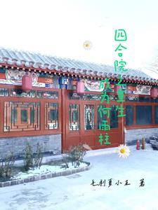 重生四合院之我是 重生四合院之我是