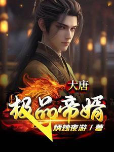大唐极品王爷全部章节在线阅读 大唐极品王爷全部章节在线阅读