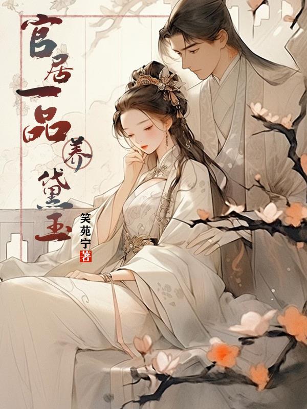 官居一品讲什么