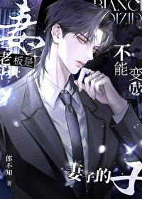 老板的老婆可以做财务吗 老板的老婆可以做财务吗
