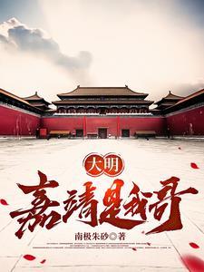 大明嘉靖年制 大明嘉靖年制