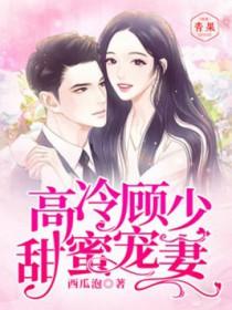高冷顾少柔情宠目录 高冷顾少柔情宠目录