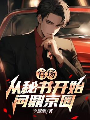 官场秘史有感作文