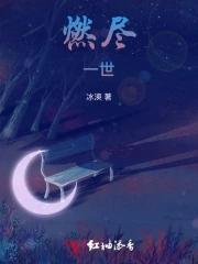 燃尽了什么意思