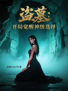 盗墓系统开局 盗墓系统开局