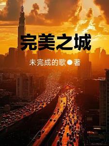 完美之城电影 完美之城电影