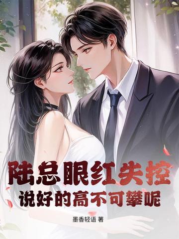 陆总是什么电视里头的 陆总是什么电视里头的