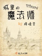城市的魔术师 城市的魔术师