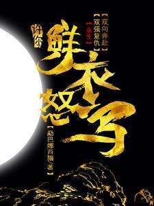 鲜衣怒马 鲜衣怒马