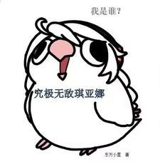 我是谁?究极无敌琪亚娜更新 我是谁?究极无敌琪亚娜更新