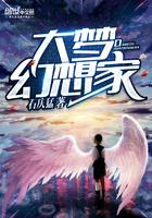大梦想家教程完整版 大梦想家教程完整版