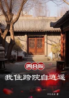 四合院我是黑市掌控者林阳 四合院我是黑市掌控者林阳