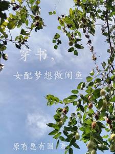 穿书女配只想当咸鱼 穿书女配只想当咸鱼