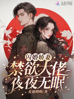 闪婚成瘾 闪婚成瘾