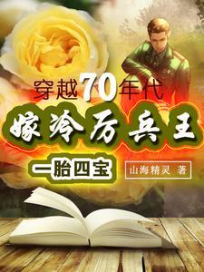 嫁冷厉兵王一胎四宝穿越70年代 山海 嫁冷厉兵王一胎四宝穿越70年代 山海