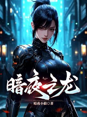 暗夜之龙布加迪 暗夜之龙布加迪