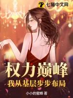 权力巅峰我从基层步步布局 第279章 权力巅峰我从基层步步布局 第279章