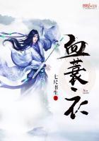 血蓑衣武功排行 血蓑衣武功排行