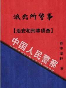 派出所和治安派出所 派出所和治安派出所