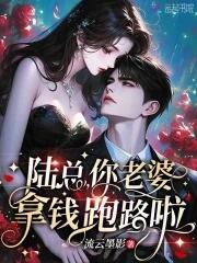 陆总你的老婆又上热搜