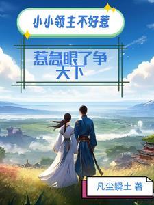 小小领主攻略 小小领主攻略