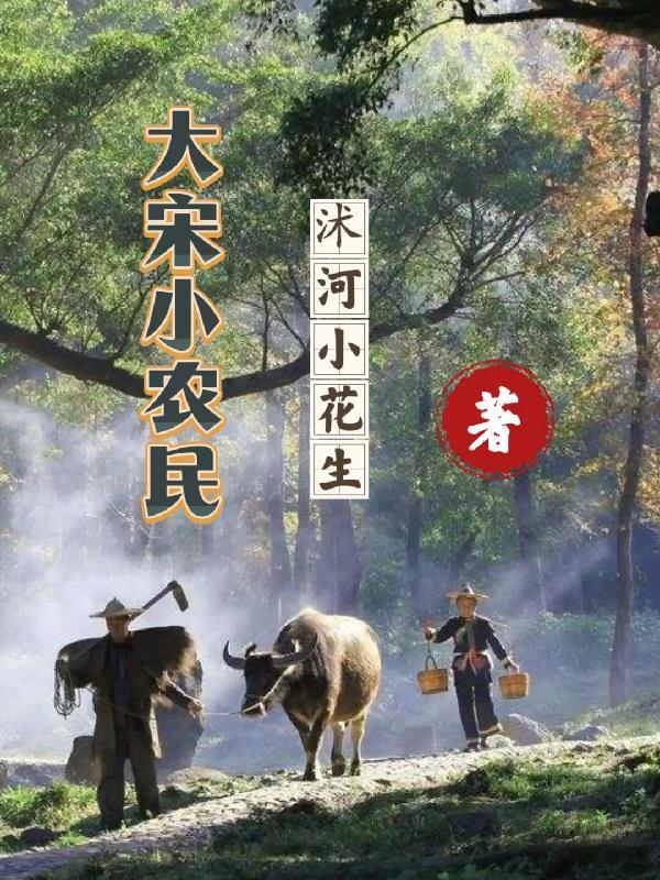 大宋农夫 大宋农夫