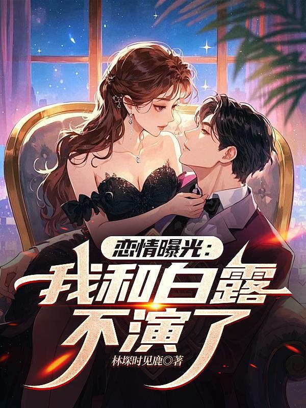 从乡镇公务员到权力巅峰 南方椰湾